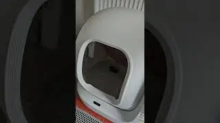 issues with Petkit