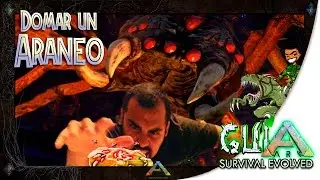 ARK Survival Evolved | A la caza del ARANEOMORPHUS