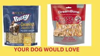 DOG SUPPLIES ONLINE#shorts #dog #shorts #youtubeshorts #animals #dogtraining #dogsofinstagram #dogs