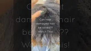 Can heat damaged hair be repaired? #heatdamage #naturalhair #haircare