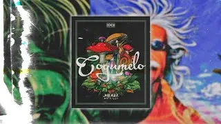 13. VAI ROLAR O METE METE - MC PRB (&Aacute;LBUM COGUMELO)
