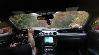 Georgia's Dragon - The Suches Loop