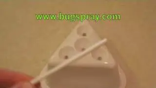 Natural Catch Fruit Fly Trap Setup