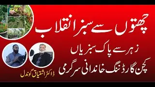 Kitchen Gardening Masterclass with Dr. Ishtiaq Gondal | Roof Farming