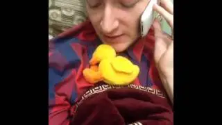 Это Россия Vine by Rick Flash