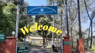Glimpse of College of Forestry, Ranichauri (Tehri Garhwal).     #Shorts #Part 1
