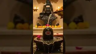 Mahashivratri Ka Gana 🔥 | Maha Shivratri Song | Shiv Bhajan