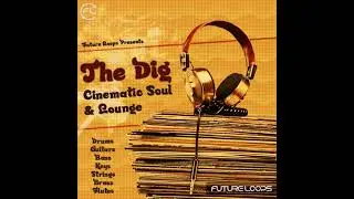 The Dig - Cinematic Soul & Lounge - Hip Hop Samples & Loops - Crate Diggin - Beats & Instrumentals