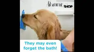 HIGH QUALITY DOG LICK PAD