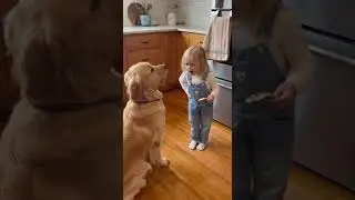Девочка против собаки: спор о печенье 🍪🐶😂