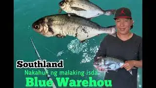 Catching a BLUE WaREHOu(Talakitok)#Wharf