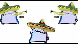 mexican cat 10 hours