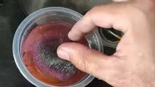 Teste dos Fluidos VW G12 e Paraflu. Parte 2