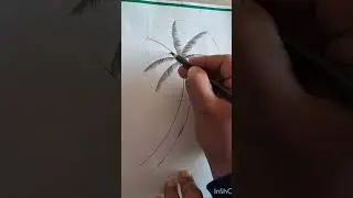 Date Palm Tree drawing#art