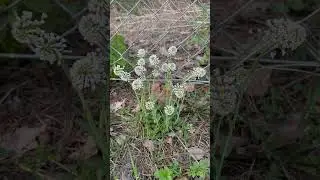 #майские #travelvlog