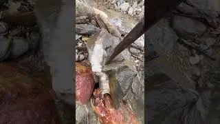gold prospecting for beginner ✅🧽