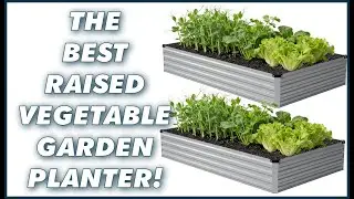 THE BEST Galvanized Raised Garden Bed Outdoor Planter Box Metal Kit Planting Vegetables Flowers