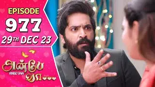 Anbe Vaa Serial | Episode 977 | 29th Dec 2023 | Virat | Delna Davis | Saregama TV Shows Tamil