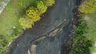 Moore's Creek, December 2025