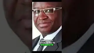ECOWAS:  Africa's Traitor Within!  #newcolonizer #traitorwithin #shorts #trending #TraitorWithin
