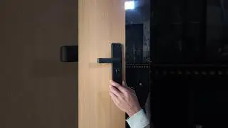Fix the door handle 🔐 #ahorts