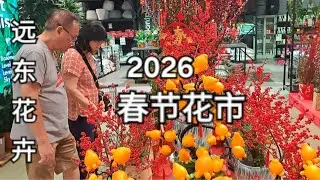 运东花卉2026马年春节花市/Clementi Far East Flora CNY Flower Market 