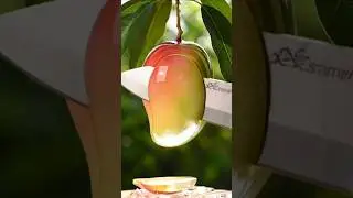 🥭 Glass Mango ASMR | Yellow Crystal Fruit Cutting SoundsHashtags:#ASMR #GlassFruit #MangoASMR #fruit