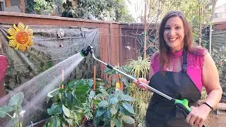 Telescoping Watering Wand - Gardening Essentials