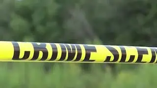 911 calls: Witness calls after seeing Alex Murdaugh bleeding on the side of the road