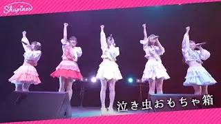 【Live Music Video】泣き虫おもちゃ箱 ／ Shupines（シュピネス）