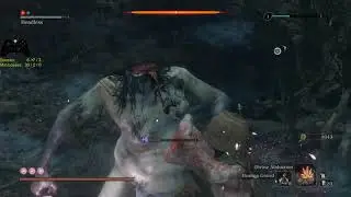 Sekiro - Headless - deathblows only (no attacking), no pacifying agent