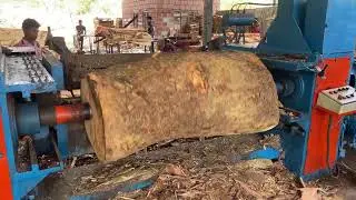 Inside Sawmill Biggest Wood Peeling Process 👌😱| Fastest Rolling Wood Machine 🪵|