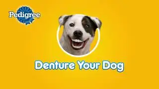 Pedigree Denture Your Dog Promo
