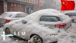 Blizzard Pummels Henan, China, Causing Widespread Disruption and Infrastructure Damage