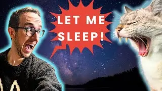 How To Stop Your Cat From Waking You Up At Night