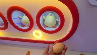 When mama in kids playground,having fun playing chicken lay eggs