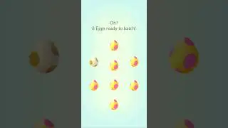 Go Fest Egg Hatching Part 2 - #globalgofest #gofest2024 #egghatch