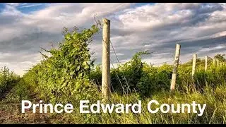 Prince Edward County | Chestnut Park, West of Toronto