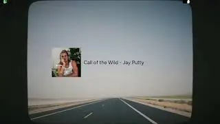 Folk Pop for the Road: Cozy Travel Songs to Dream, Wander, and Study to