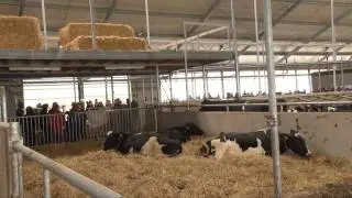 Open dag bewaarplaats en melkveebedrijf te Dronten