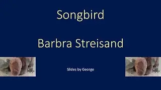 Barbra Streisand   Songbird  KARAOKE