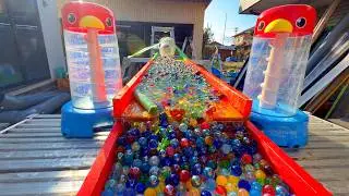 Marble Run⭐Master Sunglasses Man Guppy's Transparent Hose