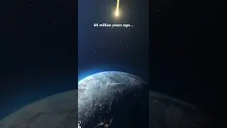 66 Million years ago chicxulub crater 💣