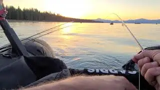 Float Tubing Almanor