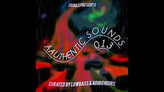 Authentic Sounds 013 mix an compiled by lowbass djy , ndibo ndibs #sgija