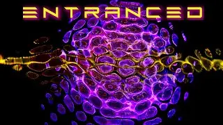 Entranced - Retro-Future - RetroSynth