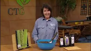 Native Plants for Septic/Drain Fields |Leslie Uppinghouse |Central Texas Gardener