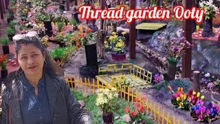 विश्व रिकार्ड बनाने वाला Thread Garden Ooty | Best visit places in Ooty |all information |shwetaani