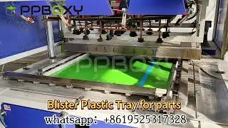 PPBoxy Plastic PP Blister Tray: Durable, Versatile, and Customizable Packaging