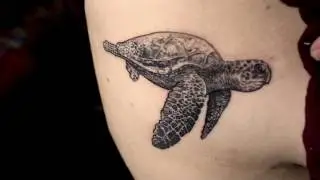 Best Tattoo Artist in Bangalore - Sea Turtle Dotwork Tattoo by Veer Hegde at Eternal Expression